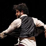 Flamenco en_el_Recreo_20130109_040 CPR.jpg