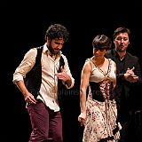 Flamenco en_el_Recreo_20130109_044 CPR.jpg