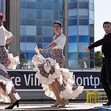 Temperamento Andaluz_20140914_001 CPR.jpg