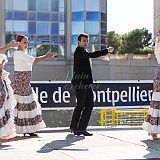 Temperamento Andaluz_20140914_013 CPR.jpg