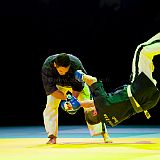 Doshow 20111007_Yoseikan Budo-2_CPR.jpg