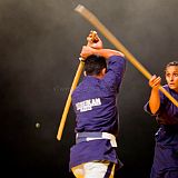 Doshow 20111007_Yoseikan Budo-5_CPR.jpg