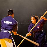 Doshow 20111007_Yoseikan Budo-6_CPR.jpg