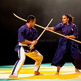 Doshow 20111007_Yoseikan Budo-8_CPR.jpg