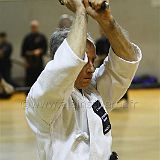 Iaido Montpellier_20120414_4294 CPR.jpg