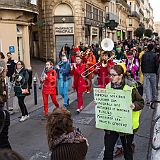 MarchePourLeClimat 20190126_049 CPR.jpg