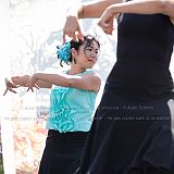 Romeria Mauguio_20150607_022 CPR.jpg