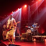 Bombino