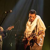 Bombino 20211006 012.jpg