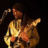 Bombino 20211006 015.jpg