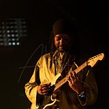 Bombino 20211006 017.jpg