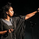 Susheela Raman - Le Sonambule - Gignac (34-FR) - 08/03/2013  Susheela Raman_20130308_030 CPR.jpg
