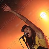 VV Brown_20100612 5D5088.jpg