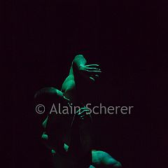 AlainScherer-Parallèle 20170124_001 CPR.jpg