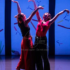 Bloom 20251106 006-2.jpg