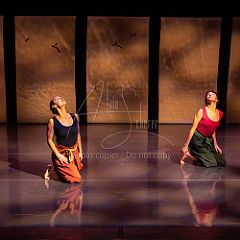 Bloom 20251106 015.jpg