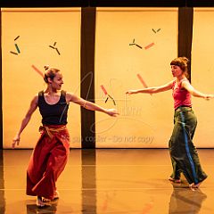 Bloom 20251106 024.jpg