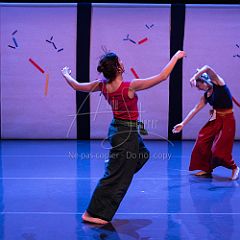 Bloom 20251106 029.jpg