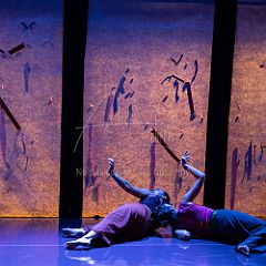 Bloom 20251106 033.jpg