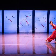 Bloom 20251106 082.jpg