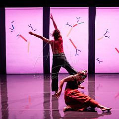 Bloom 20251106 091.jpg