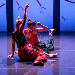 Bloom 20251106 096.jpg