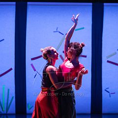 Bloom 20251106 105.jpg