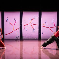 Bloom 20251106 108.jpg