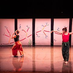 Bloom 20251106 112.jpg