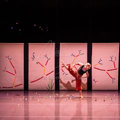 Bloom 20251106 117.jpg