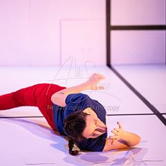 Feuilles 20220411 023.jpg