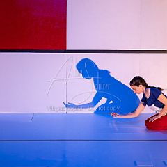 Feuilles 20220411 029.jpg