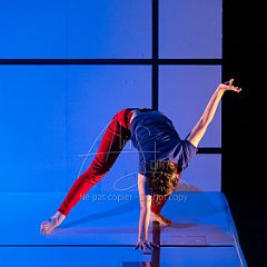 Feuilles 20220411 073.jpg