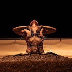 Quartz 20230824 129.jpg