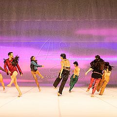 LesOiseaux 20250629 008.jpg