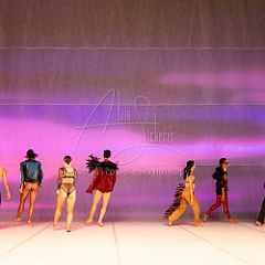 LesOiseaux 20250629 025.jpg