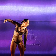 LesOiseaux 20250629 033.jpg