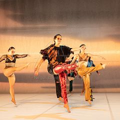 LesOiseaux 20250629 046.jpg