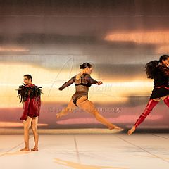 LesOiseaux 20250629 053.jpg