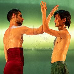 LesOiseaux 20250629 059.jpg