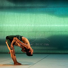 LesOiseaux 20250629 064.jpg