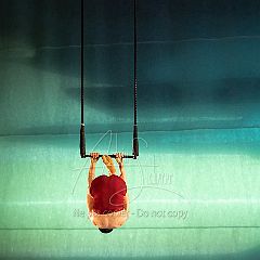 LesOiseaux 20250629 065.jpg