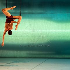 LesOiseaux 20250629 069.jpg