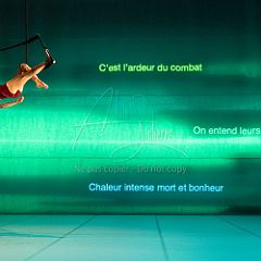 LesOiseaux 20250629 073.jpg