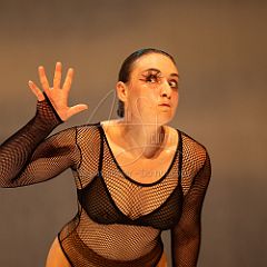 LesOiseaux 20250629 079.jpg