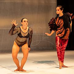 LesOiseaux 20250629 080.jpg