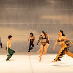 LesOiseaux 20250629 085.jpg