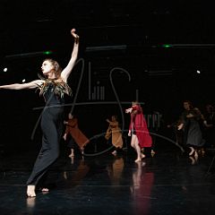 LinkDanceCompany 20180629_004 CPR.jpg