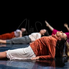 LinkDanceCompany 20180629_020 CPR.jpg