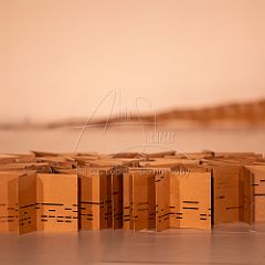 Moftarak 20251203 016.jpg